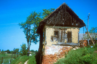 Šardinje - Vinska klet Šardinje 16