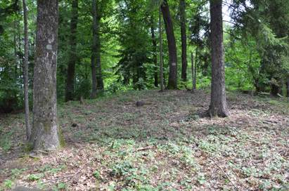 Slivniško Pohorje - Gomilno grobišče Šestdobe
