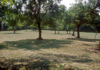 Zgornji Duplek - Staroslovansko grobišče