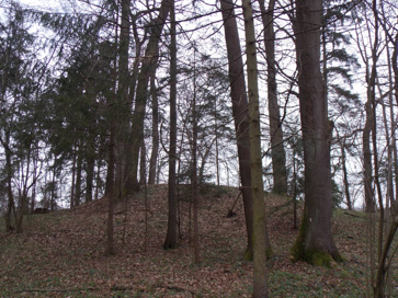 Spodnje Hoče - Gomila
