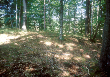 Zgornja Korena - Gomila