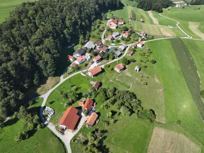 Javorje pri Slivnici - Vas