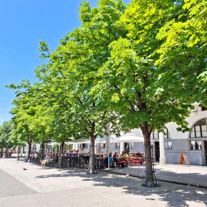 Ljubljana - Drevored na Adamič-Lundrovem nabrežju