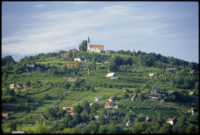 Trška Gora - Vinogradniško območje