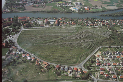 Ptuj - Arheološko najdišče Panorama