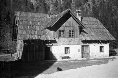 Logarska dolina - Hiša Logarska dolina 8