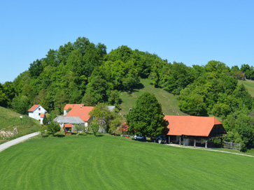 Strtenica - Domačija Strtenica 21