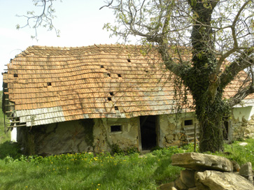Strtenica - Hlev s svinjaki na domačiji Strtenica 21