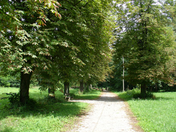 Dobrna - Vila Ružička z vrtom
