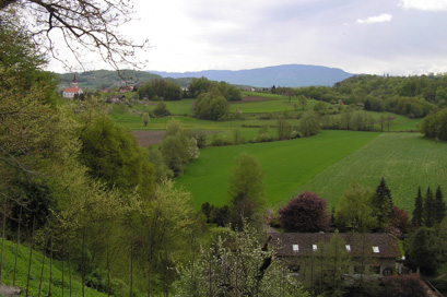 Grič pri Klevevžu - Območje gradu Klevevž
