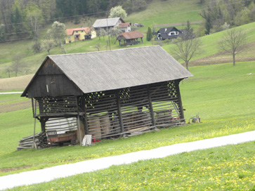Kompole - Kozolec na domačiji Kompole 32
