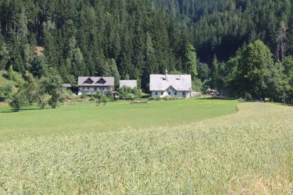 Zgornje Jezersko - Ankova domačija