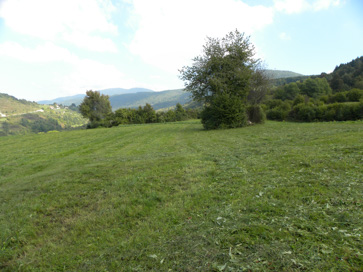 Vinja vas - Arheološko območje Pod cesto