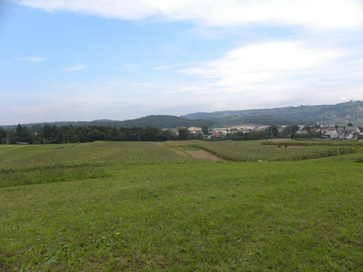 Novo mesto - Arheološko območje Velike njive