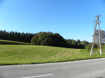 Novo mesto - Arheološko območje Regrške košenice