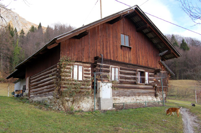 Dešen - Domačija Dešen 12