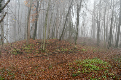 Dobrnič - Arheološko območje