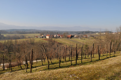 Zorenci - Arheološko najdišče Ileničev vrt