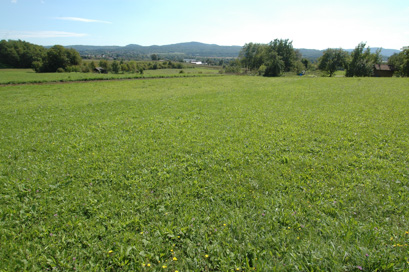 Metlika - Arheološko območje Metlika