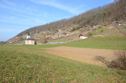 Dvorska gora - Vinogradniško območje