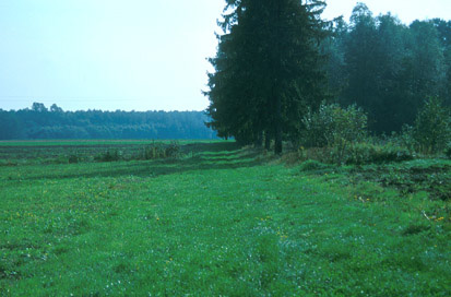 Biserjane - Prazgodovinska naselbina