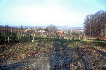 Kobilje - Prazgodovinska naselbina Sv. Martin