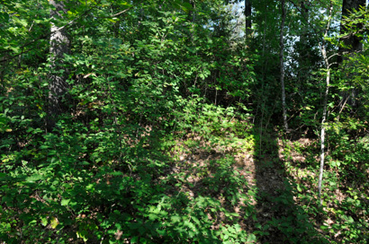 Črnomelj - Arheološko najdišče Starihova loza
