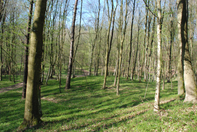 Bogojina - Gomila Vretina