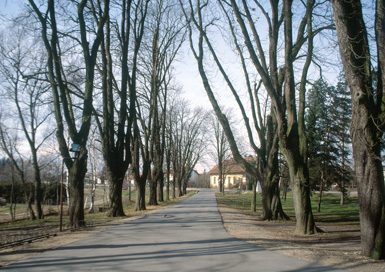 Tišina - Arheološko območje Pri cerkvi
