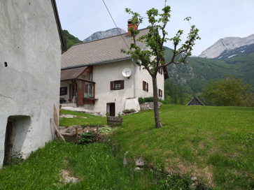 Tolminske Ravne - Domačija Tolminske Ravne 11