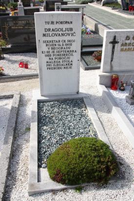 Breznica - Grob Dragoljuba Milovanovića