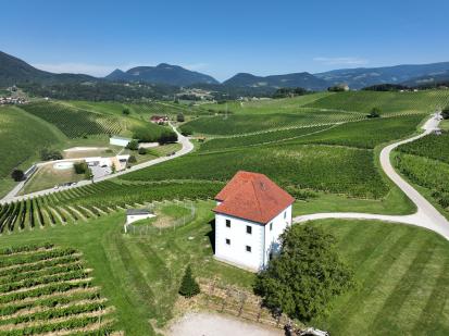 Škalce - Vinogradniški dvorec