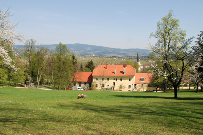 Slovenske Konjice - Park dvorca Trebnik