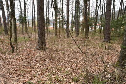 Slovenj Gradec - Gomilno grobišče pod Gradiščem