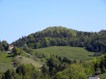 Zreče - Grad Freudenberg