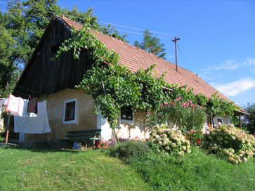 Dednja vas - Hiša Dednja vas 47