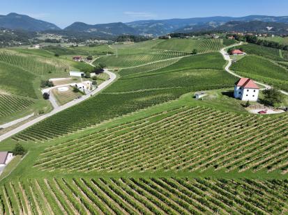 Škalce - Vinogradniško območje