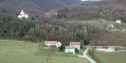 Pišece - Grajski marof