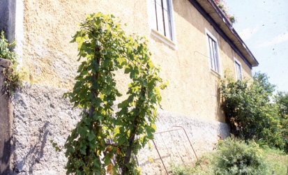 Silovec - Domačija Silovec 20