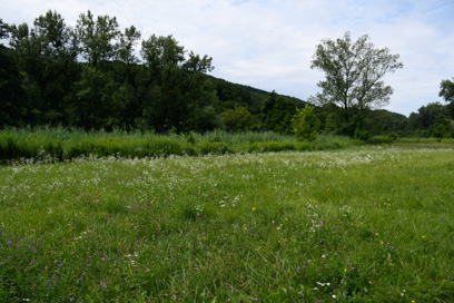 Podgračeno - Naselbina Col