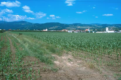 Slovenska Bistrica - Rimskodobna obcestna postaja