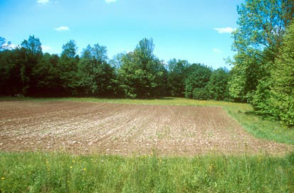 Pušenci - Rimska cesta