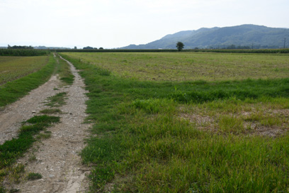Dolenje Skopice - Arheološko najdišče Ravne