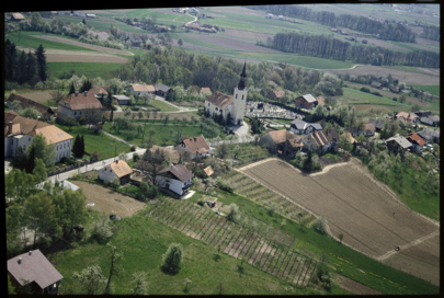 Artiče - Vaško jedro