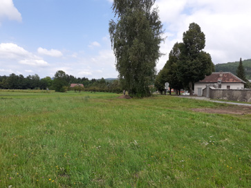 Cerknica - Arheološko najdišče Svinja gorica