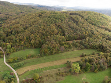 Dolnji Suhor pri Metliki - Gradišče Veliki vrh