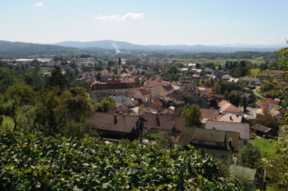 Metlika - Arheološko najdišče mestno jedro Metlika