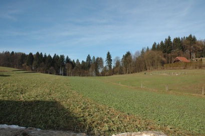 Novo mesto - Arheološko območje Drgančevje
