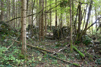 Ašelice - Opuščena kočevarska vas