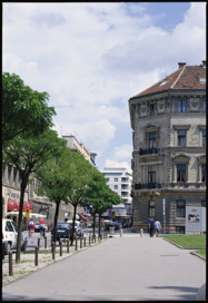 Ljubljana - Drevored na Cankarjevi cesti
